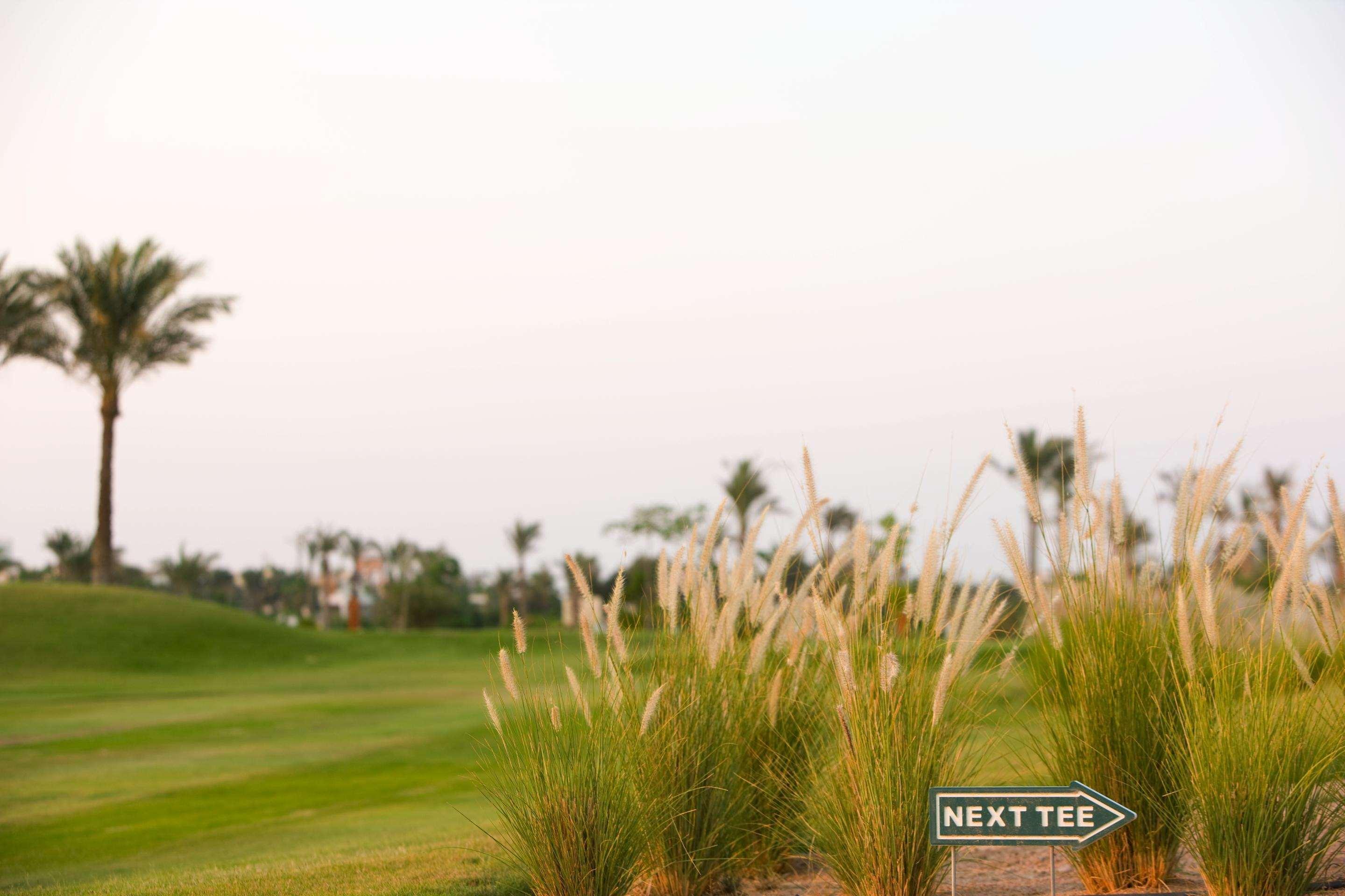 스테이겐버거 알다우 비치 호텔 후르가다 외부 사진 Golf course at Al Forsan